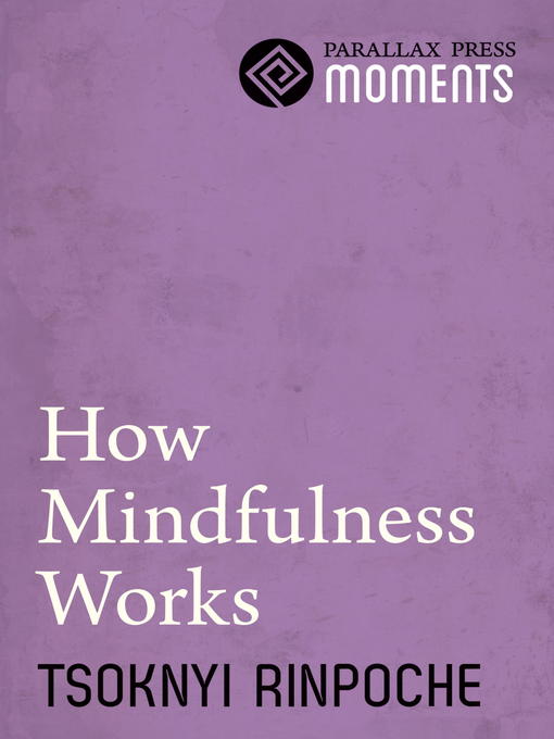 Cover image for How Mindfulness Works